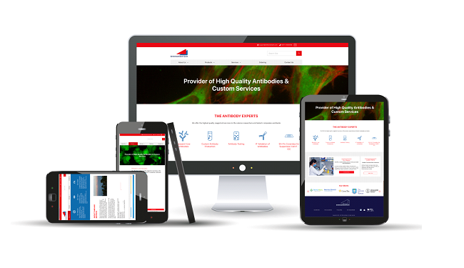 20 Page Custom Website Design